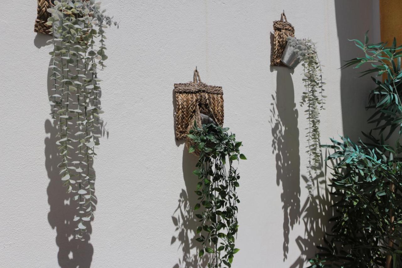 Birdy House Βίλα Φάρο Εξωτερικό φωτογραφία